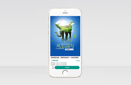 (独立手机版)单页落地页推广网站模板